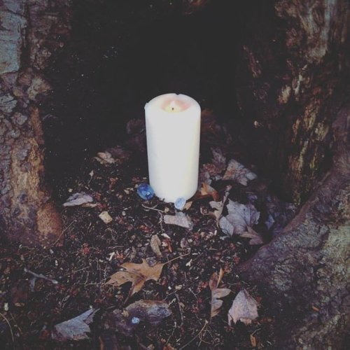 littlewickedthingsx:Forest Candle Magic by BrennaxAdaira13