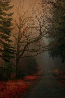 sublim-ature:  FrancePatrice Thomas