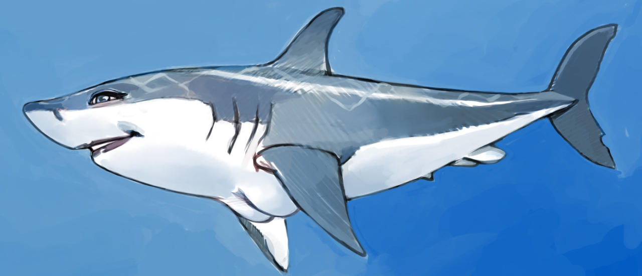joeljurion:  Jade Shark Attack ^_^