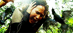 woelfsbane-deactivated20160125:  &ldquo;Miss Everdeen, you fought very hard in