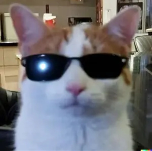 Ur Such A Kool Kat