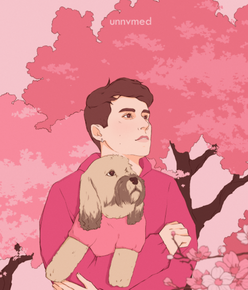 Cherry blossom time @danielhowell