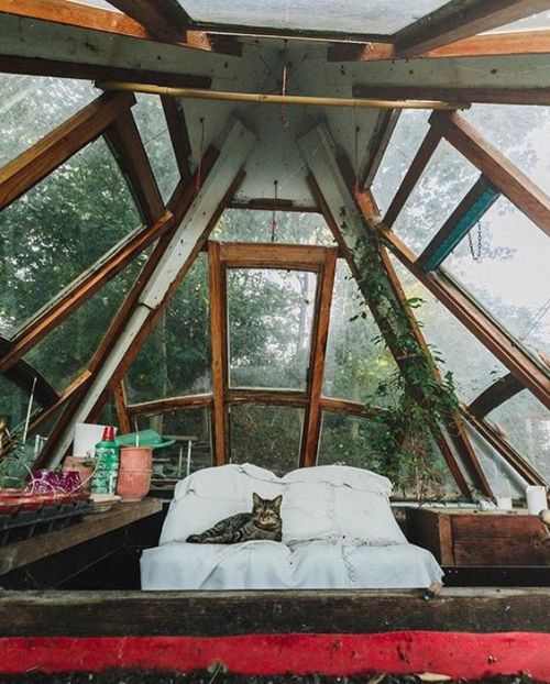 magicalhomesandstuff: What a wonderful little sanctuary.  @christianiafreetown instagram