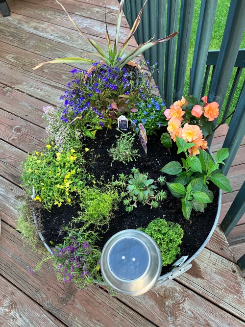 Tis The Season For Fairy Gardens!