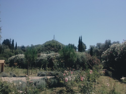 flowuriest:  these gardens in greece were so wonderful it was so pretty and sunny and i was v happy!  