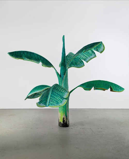 Yutaka Sone, Tropical composition banana tree no4, 2008-2010