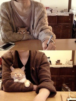 awwww-cute:  Everyone should have a desk buddy (Source: http://ift.tt/2m65mxZ)