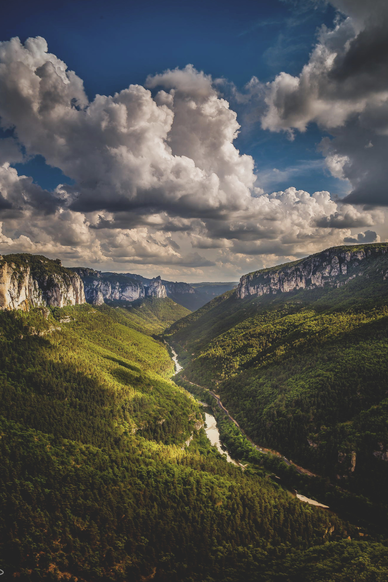 wnderlst:
“Gorges du Tarn, France | Kevin Lyp-stenger”