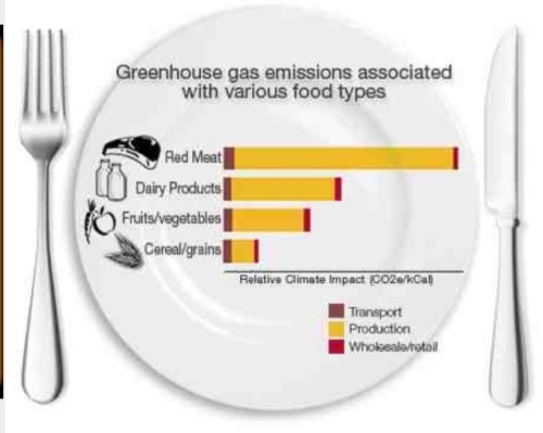 veganmovement2012:  There is no such thing as a meat, cheese, milk, egg-eating environmentalist. Excerpt from Adaptt.org    Meat-eating environmentalist = Oxymoron Animal Agriculture and Environmental Destruction  Many people who fancy themselves to be