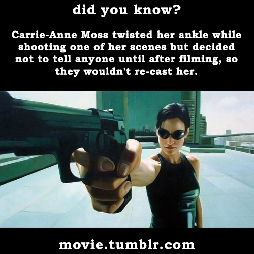 movie:  The Matrix (1999) facts | More movie facts 