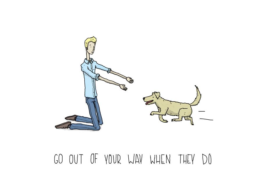 nevver:  Lessons from a Dog  Awww this is adorable 💚
