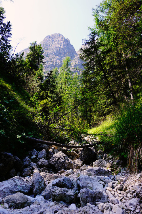 Disorder makes nice arrangements.Belluno, Italy.