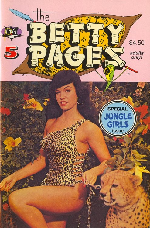 retrogasm:  Bettie spent 8 years in a state hospital from about 1984 - 1992.  During this time her resurgence was beginning.  Many people searched for her and eventually, through her brother, found her in California.  Comic book artist Dave Stevens
