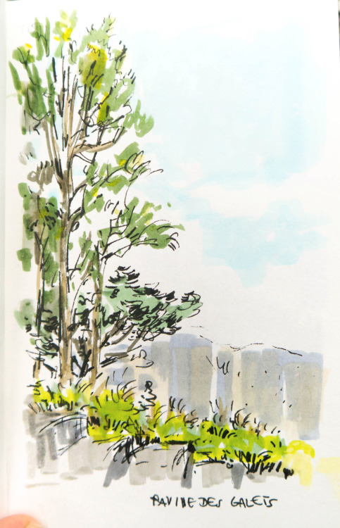 Back from the island of La Reunion (indian ocean), with a few sketches.