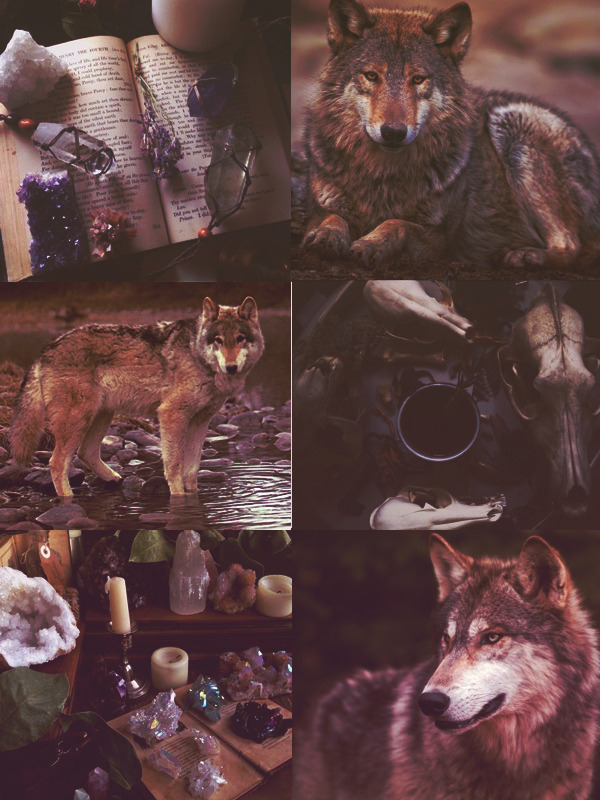 A Safehaven for Kin and Therian — [ Witchy Timber Wolf Therian