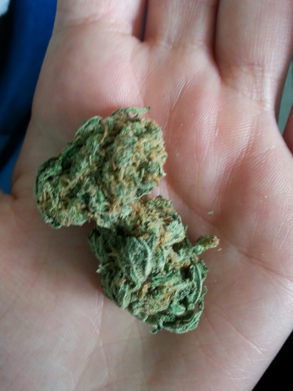 skinaspaleascrack:  Lemon Haze 