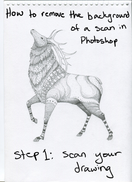surgencyart:How I remove white backgrounds from scans.I can never get the other method to work that 