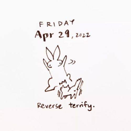 Sneaking a sweet revenge#abunaday #daily #bunny #doodle #jumpscare #reverse #revenge #一日一兔 #报仇 #吓猫