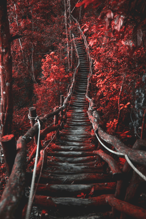 basdos:  The Dark Path Never Ends 