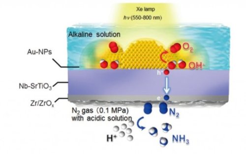 Artificial leaf? Successful synthesis of ammonia using visible light, water, and atmospheric nitroge