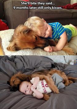 why-think:  I can’t think of any words that could describe how cute this is.