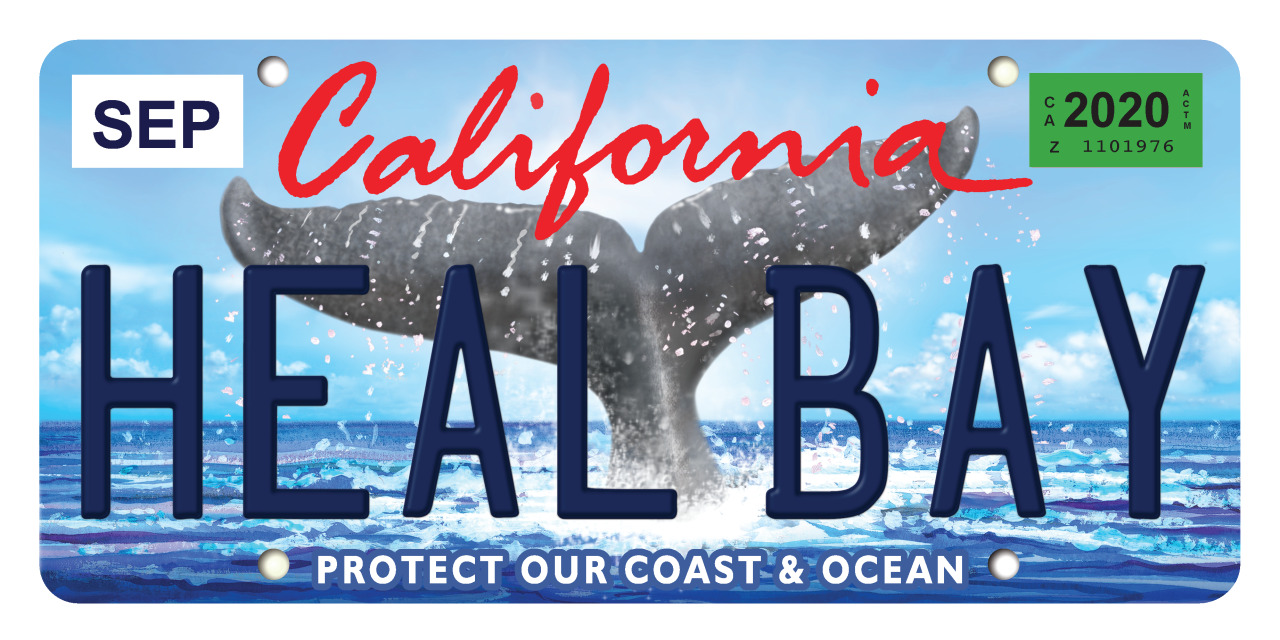 The California Coast — Happy 20th Anniversary to the Whale Tail License...