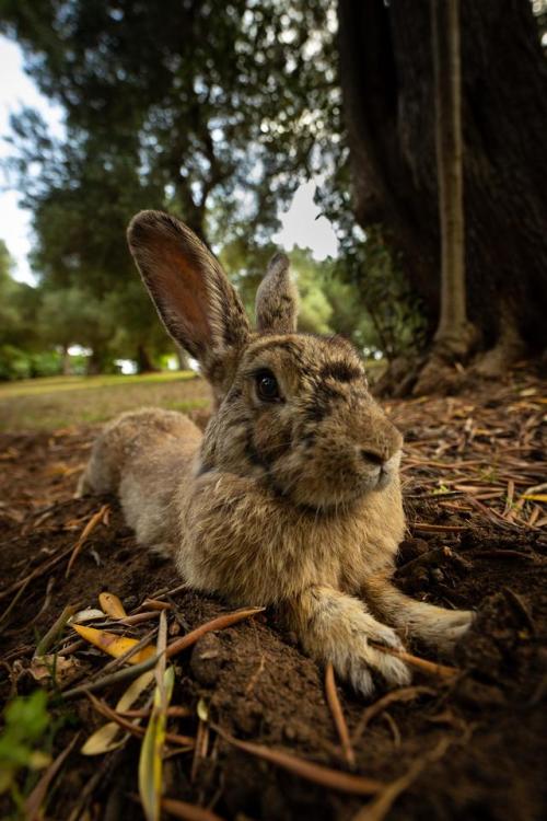 (via First dabble with manual focus.. : photocritique)