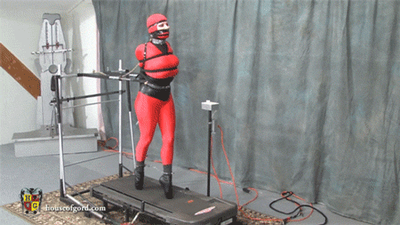 ropealltheway:  Daily BDSM HD Photos HERE