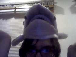 I HAVE A SHARK HAT