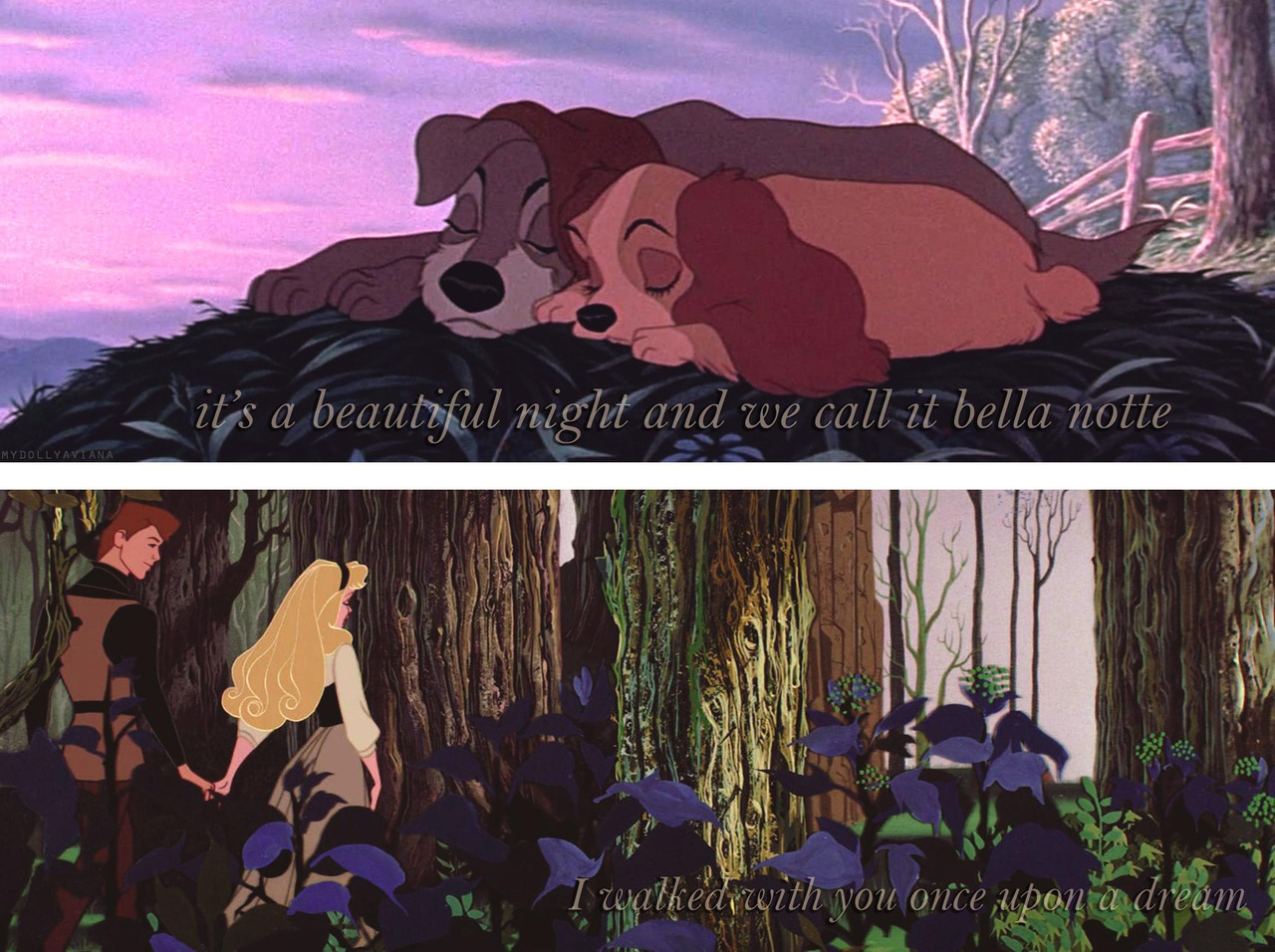 anotherdisneyfairytale:  Disney Couples♡ 