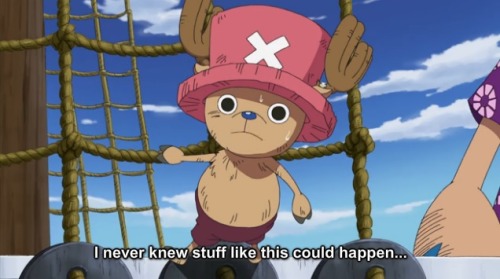 Chopper knew what was up (Chapter 1061 Spoilers) : r/MemePiece