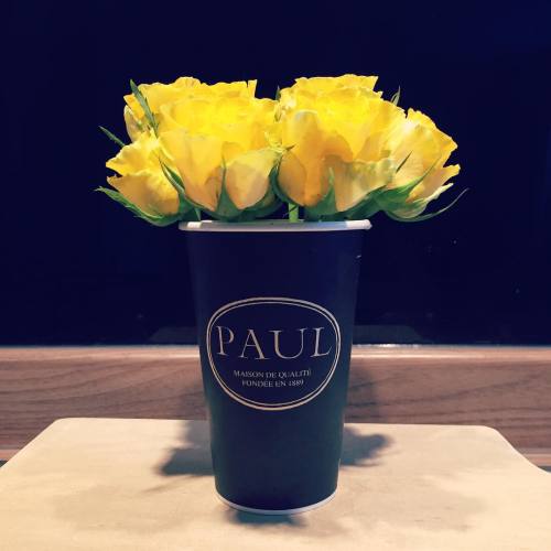 Good morning from me and Paul. {Who&rsquo;s Paul?} #flowers #friday #goodmorning #paul #paulbakery #