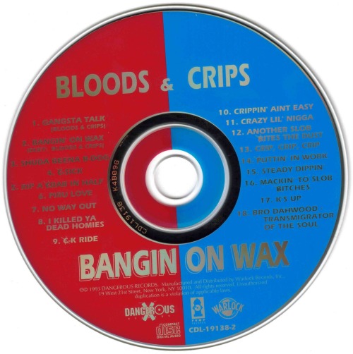XXX What Does It Take to Stop Crips and Bloods photo