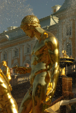 thepicketysatyr:  Golden youth, Peterhof