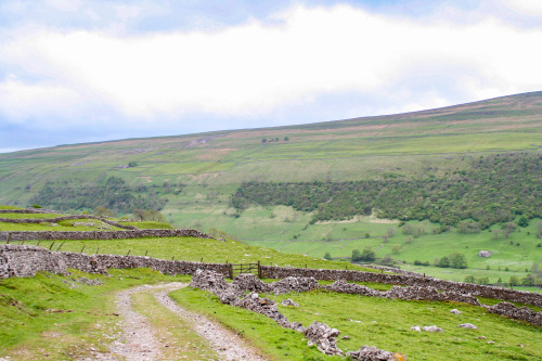 2006: Wharfdale in the Yorkshire Dales. So picturesque, it hurts. Well-exposed limestone bedding fro