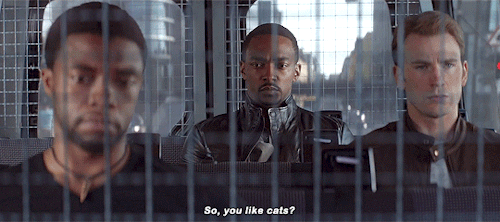 pearwaldorf:marveladdicts:Sam Wilson asking T’challa the important question.#tchalla flashing back t