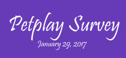 Here Is My Second Progress Report On The Petplay Survey.we Are Just Trying To Gather