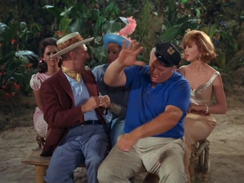 charliecgood:  First of a two-part post. Stills from Gilligan’s Island, which I watched some months ago (every last episode and the three made-for-TV movies that followed, a proud achievement for me). The Skipper’s bulge is ever present and so I thought