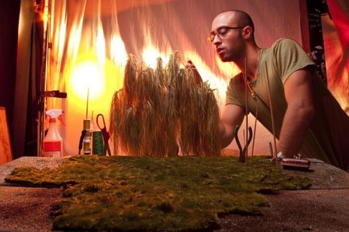 evilninjax24:  unicorn-meat-is-too-mainstream:  Magical Miniature Worlds By Matthew Albanese Matthew Albanese creates small-scale meticulously detailed models of outdoor scenes and landscapes using everyday, simple, mundane materials and transform them