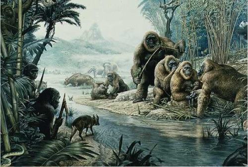 godhag: fuckyeahpleistocene: The squatchers win. Gigantopithecus blacki was a 3-metre-tall ape 