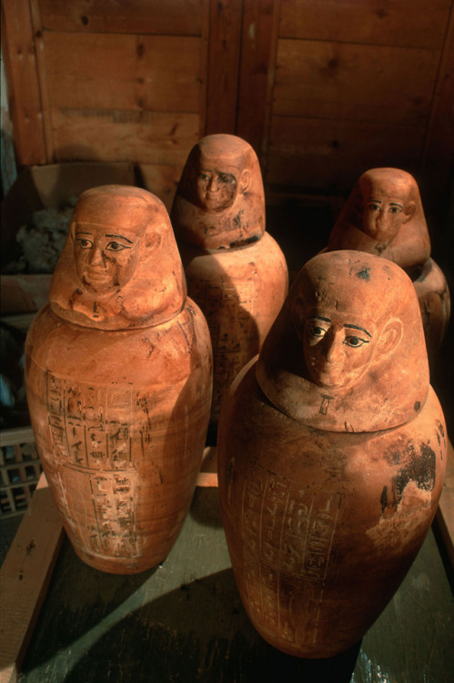 Four canopic jars from the Tomb of Iufaa at Abusir. Late Period, 26th Dynasty, ca. 664-525 BC. Photo