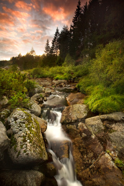 paganroots:  Norway by Apolic