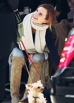 fiftyshadesen:  Emma Watson gives a scratch to a passing dog as she enjoys lunch at Bar Italia on Madison Avenue in New York City on April, 05. 