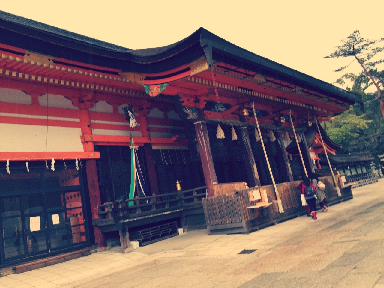 kechooooo:  京都お写真