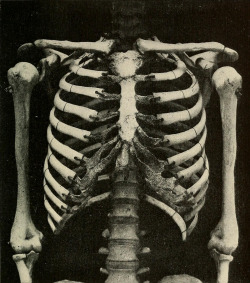 deathandmysticism:  The problem of age, growth, and death, 1908