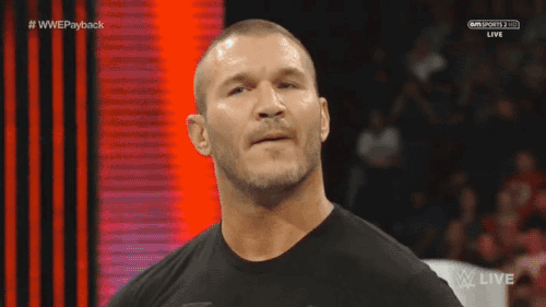 prowrestlinganimated:  Orton’s “Actually” face
