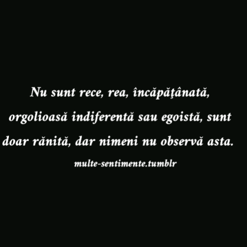 http://the-dianastratila-blog.tumblr.com/post/116194539458