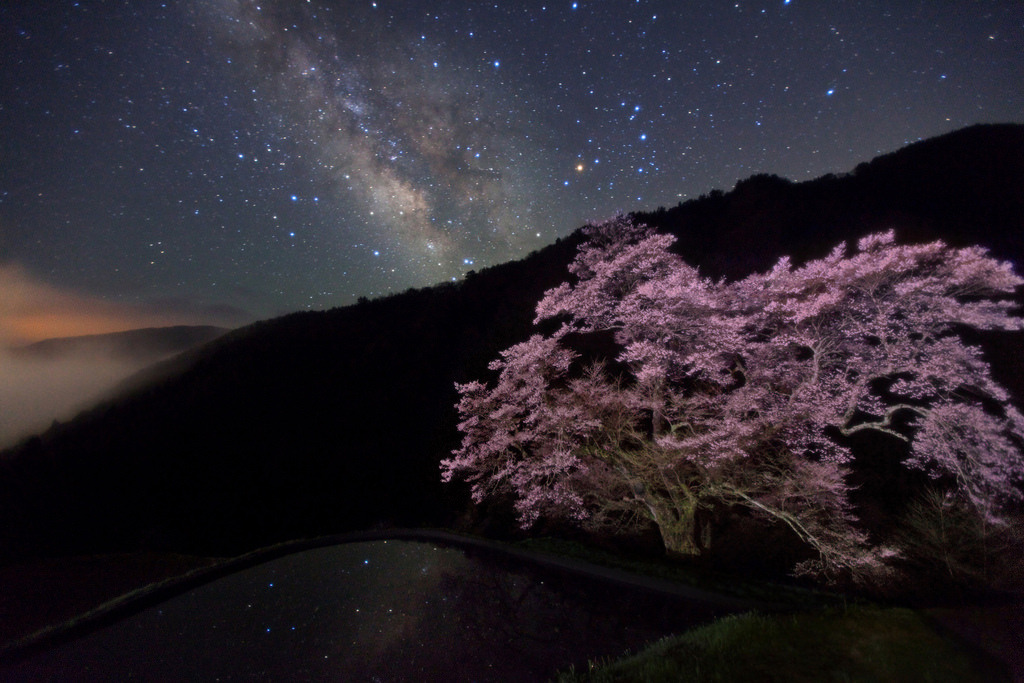 quiet-nymph:Photography  by masahiro miyasaka on Flickr