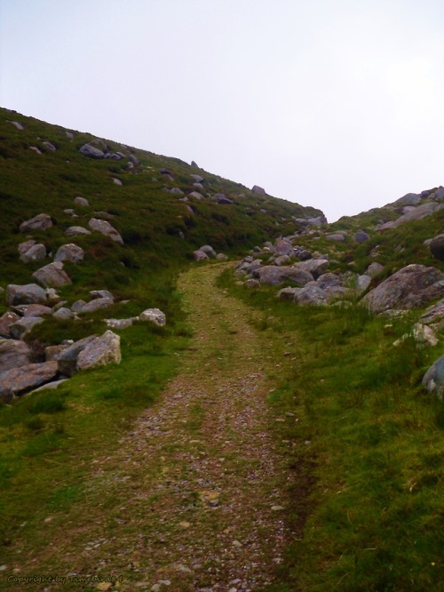 for-the-love-of-ireland - Paths on the long distance walk “Kerry...