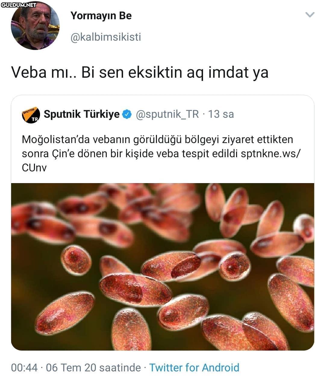 çinliler bi rahat durun aw...